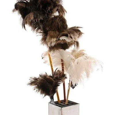 feather duster, ostrich, dusting